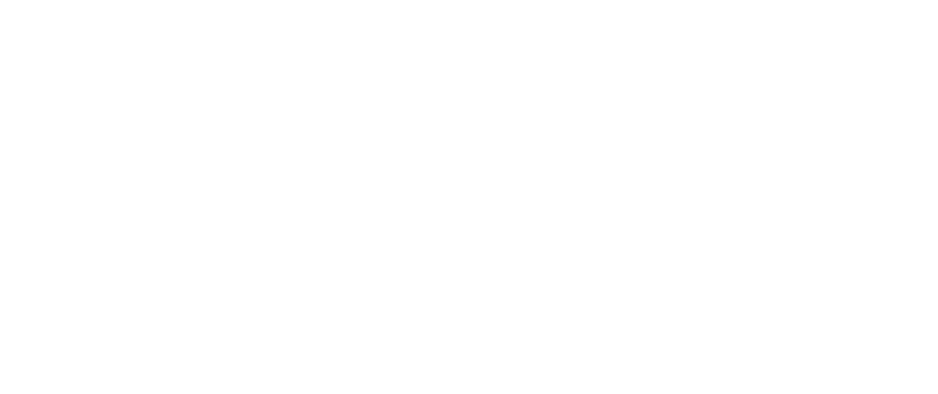 Apple Pay Logo